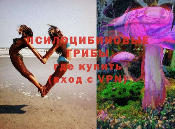 винт Абинск