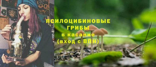 PSILOCYBIN Абдулино